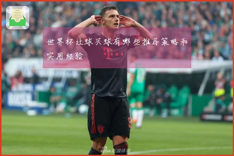 世界杯让球买球有哪些推荐策略和实用经验