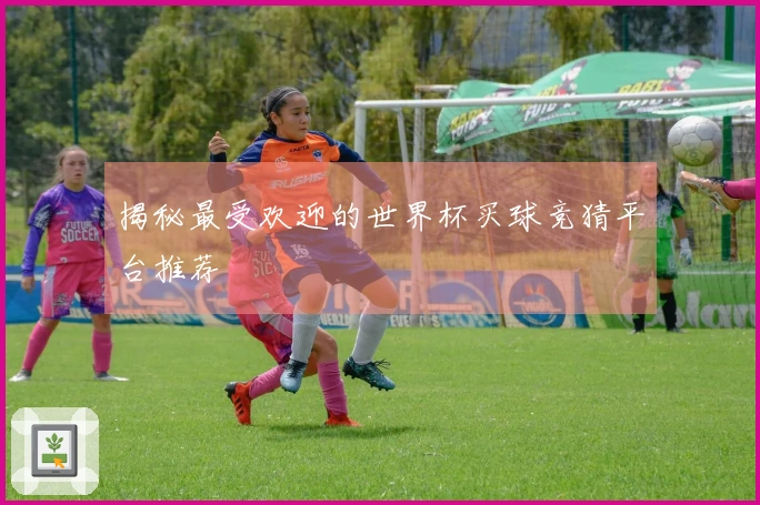 揭秘最受欢迎的世界杯买球竞猜平台推荐